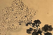 群菊図 写真